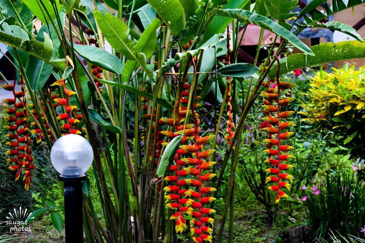 Bardia Wildlife Resort Bardiya Екстериор снимка