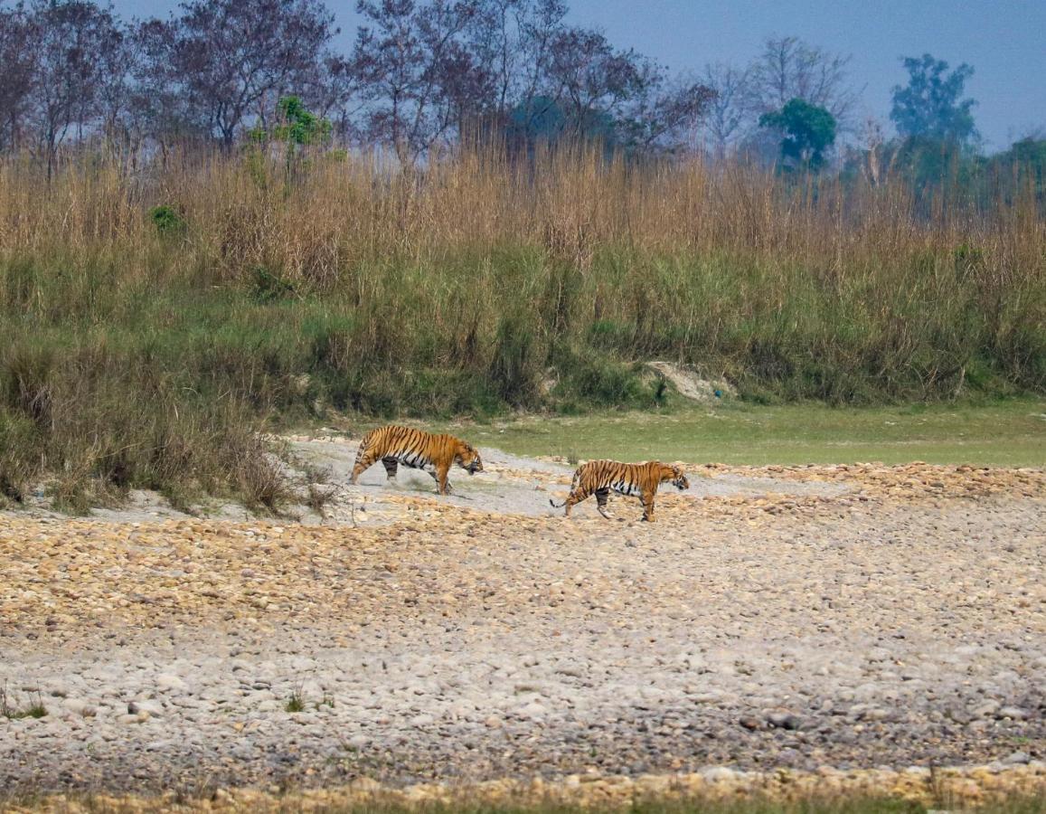 Bardia Wildlife Resort Bardiya Екстериор снимка