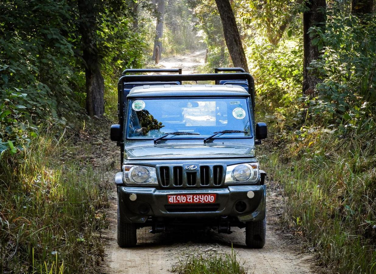 Bardia Wildlife Resort Bardiya Екстериор снимка