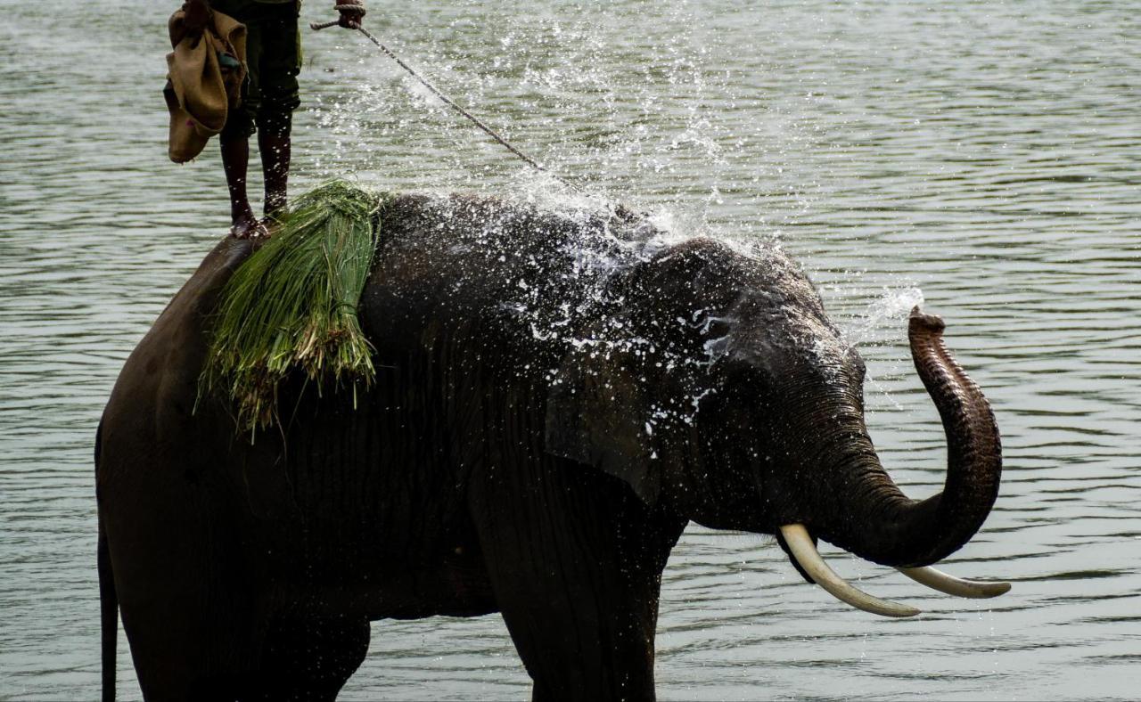 Bardia Wildlife Resort Bardiya Екстериор снимка