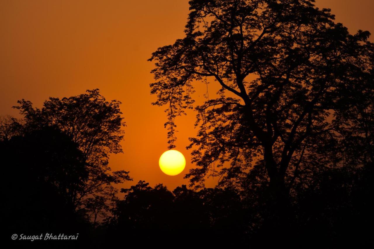 Bardia Wildlife Resort Bardiya Екстериор снимка