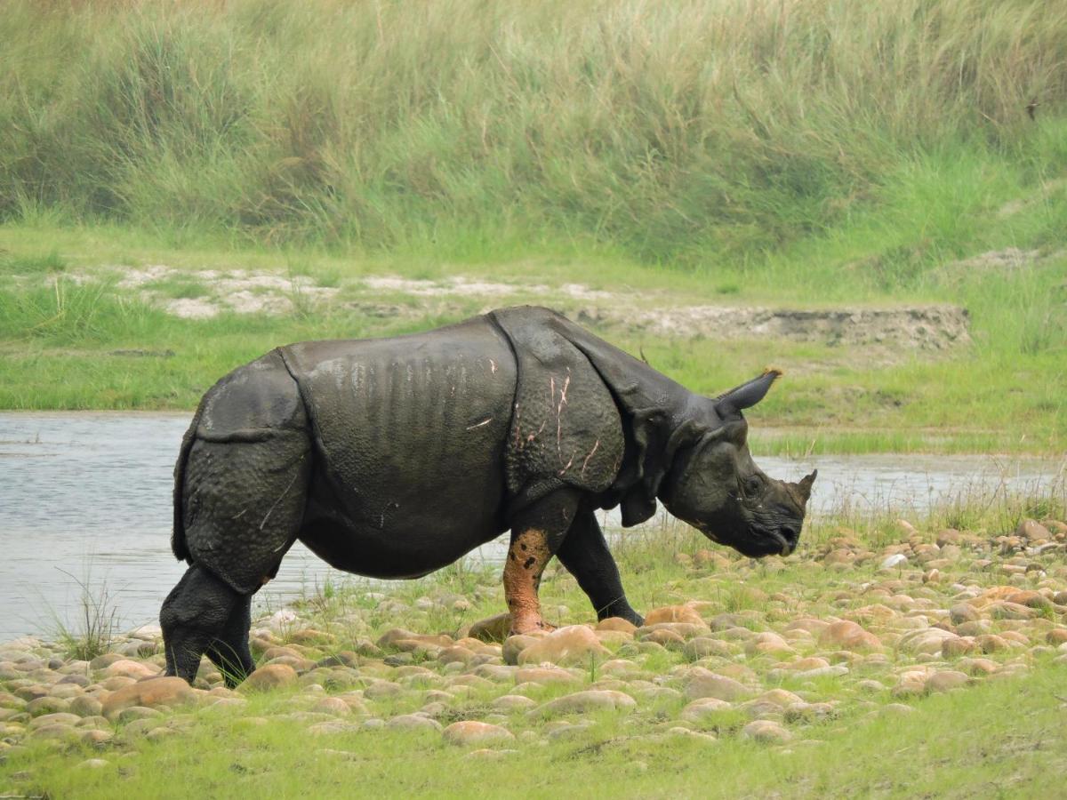 Bardia Wildlife Resort Bardiya Екстериор снимка
